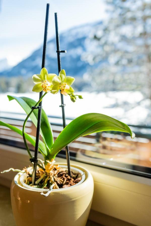 Ferienwohnungen Stilecht Elbigenalp Exterior foto